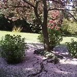 מלון Du Parc 3*
