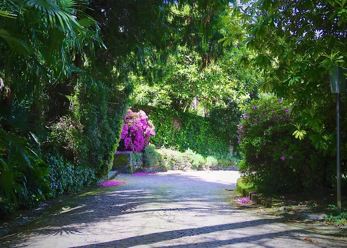 Szálloda Du Parc 3*